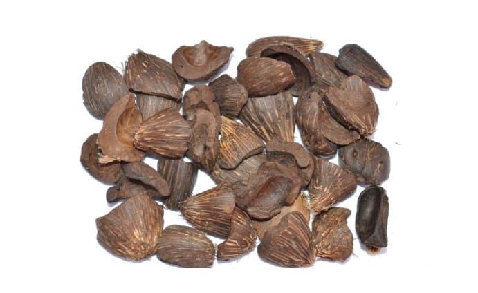 Cangkang Kelapa Sawit (Sumber gambar: cangkangsawit.id)