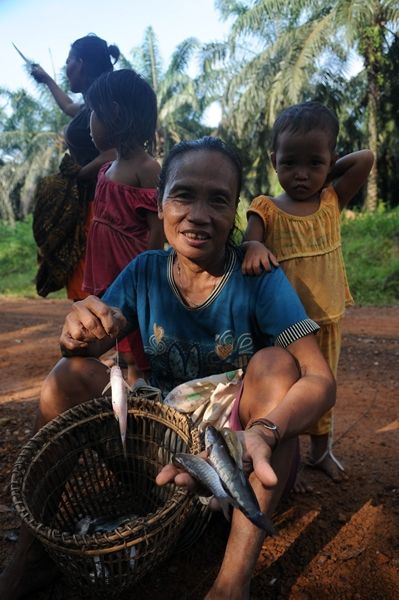 Anak-anak Batin Sembilan bermain di Danau Harapan. Sebagai besar merek sekarang tidak lagi sekolah. Mereka menghabiskan hari-harinya dengan bermi, bosan berenang di danau mereka main ke sawitan atau ditugasi oleh orangtua mereka menjaga ladang agar tidak dirusak beruk (Doc. Aulia Erlangga/Burung Indonesia)