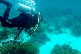 Diving Spot disekitar Pulau Hokman dan Pulai Air |Sumber:EL Huwae
