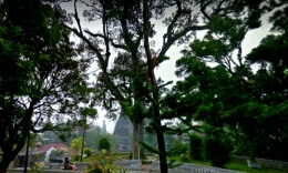 Pohon tarutung atau durian tua (tengah), titik tumbuh kota Tarutung (Foto: screenshot google map)