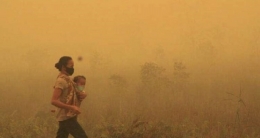 Ilustrasi Kebakaran Hutan dan Dampaknya Kepada Masyarakat (Foto: Sentinel.com)