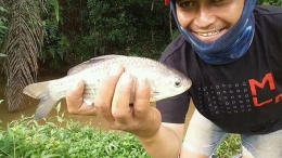 Ikan Nilem hasil tangkapan di sungai. | dokpri