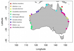 Distribusi Ubur-ubur Irukandji di Australia [Sumber: Gershwin dkk. 2013]