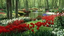 Ilustrasi Taman Keukenhof di Belanda diambil dari Medium.com. Wanderowls. 