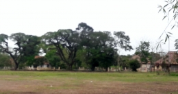 Tanah lapang emplasemen dikelilingi pohon trembesi tua dan rumah-rumah peninggalan Onderneming Soekamandi (Dokumentasi Pribadi)