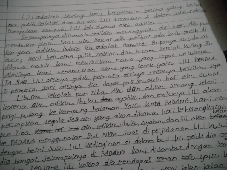 ketika anak SD menulis lily/lili, aku yang su'uzhon berpikir mereka terpapar PUBG / dok. pribadi