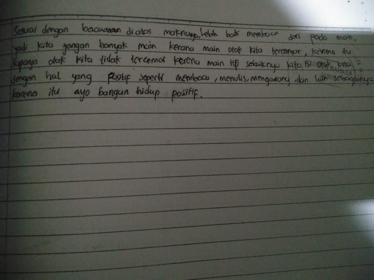 menurut anak ini, banyak main membuat otak kita tercemar / dok.pri