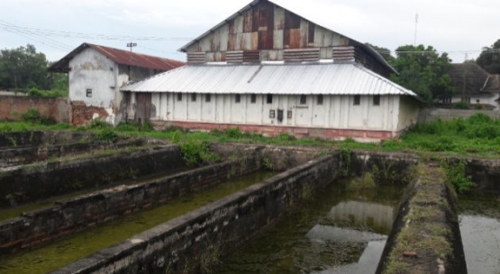 Bekas kolam penjernihan air dengan latar belakang gudang finishing serat sisal, sekarang gudang bahan bantu pabrik benih (Dokumentasi Pribadi)