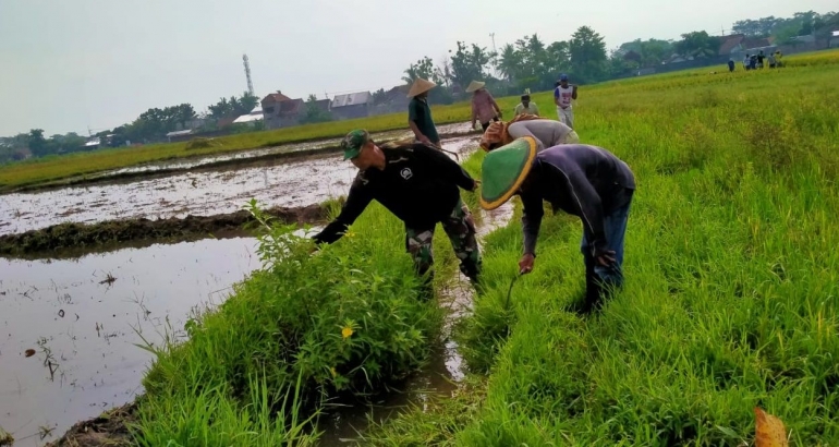 Petani desa grati dan babinsa menjaga kebersiha irigasi | Dok. pribadi