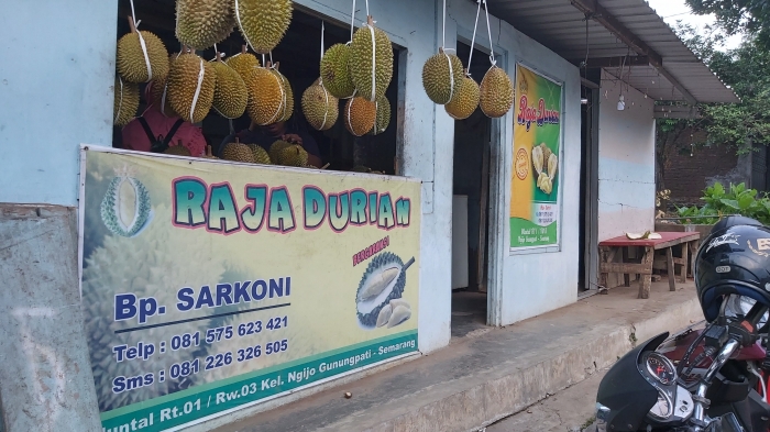 Sarkoni, Raja Durian (Dokumentasi Pribadi)