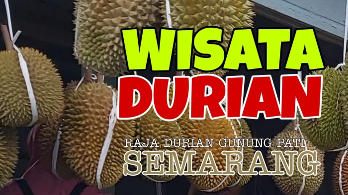 Wisata Durian di Raja Durian (Dokumentasi Pribadi)