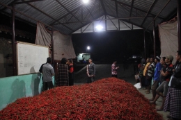 Pasar lelang petani cabai di Yogyakarta. dokpri