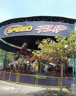 Mainan speed flip |dokpri