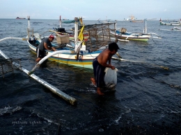 Enggan berbasah ria cuma lihat nelayan membawa ikan hasil tangkapan juga menyenangkan. Dokpri