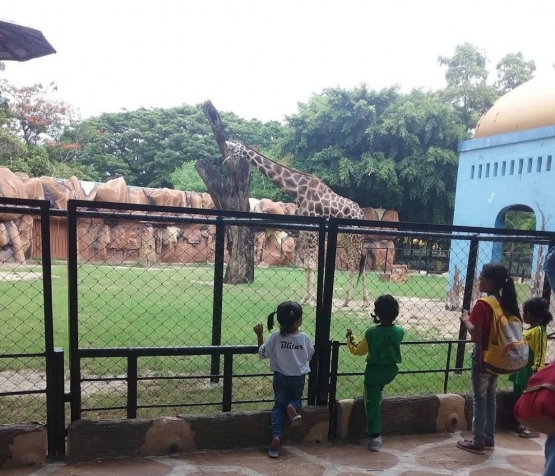 Kebun Binatang Surabaya | dokpri