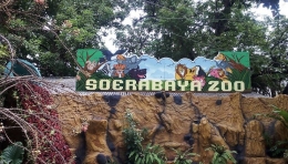Surabaya zoo | dokpri