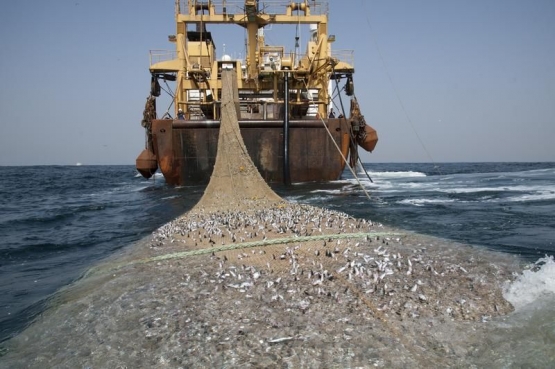 96kapal-ikan-5dfbacde097f36517d10abc2.jpg