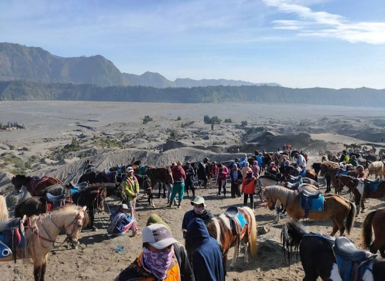 Sewa Kuda di Bromo | dokpri