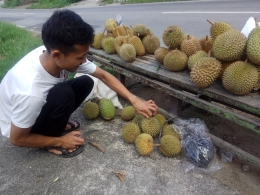 Adi, pedagang musiman yang berjualan ketika musim durian di Bangka (dokpri) 
