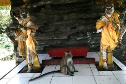 Dua buah patung monyet sebagai symbol keberadaan komunitas monyet di Pulau Kembang (sumber foto: J.Haryadi)