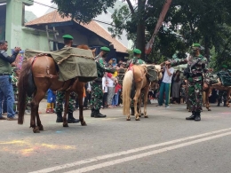 Atraksi Kuda Beban untuk kebutuhan militer yang dilakukan oleh Personil TNI dari Pusdik Bekang (sumber foto: J.Haryadi)