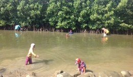 Anak-anak di Alue Naga pun gemar mencari tiram di sela-sela hutan mangrove - Foto: Teungku Jamaica