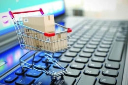 Pemanfaatan e-commerce dan marketplace yang umum digunakan. Sumber: financialexpress.com