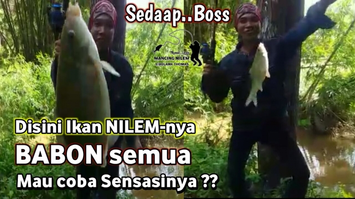 dok. Youtube siBOLANK Thomas