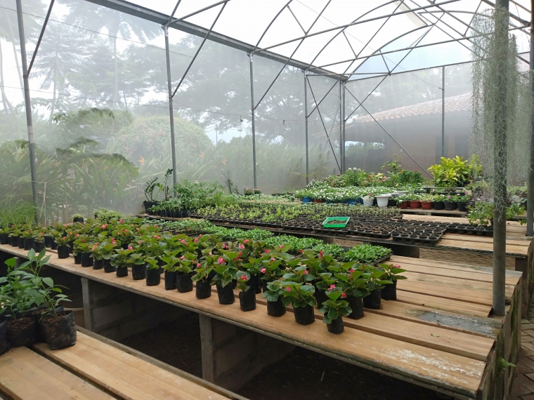 Urban Farming Mendunia Purwakarta Istimewa Jaya Di Buana Halaman All Kompasiana Com