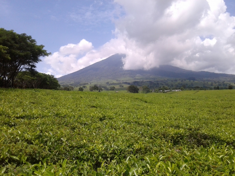 Gunung Dempo dari Tangga Seribu (Dok. Pribadi)