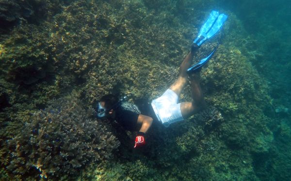 Saya tidak menyangka dapa melihat terumbu karang dan ikan seunyu ini.|Dokumentasi pribadi