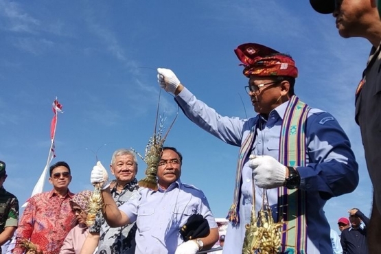 Edhy Prabowo saat mengunjungi lokasi budidaya lobster di Lombok | Gambar: KOMPAS.com