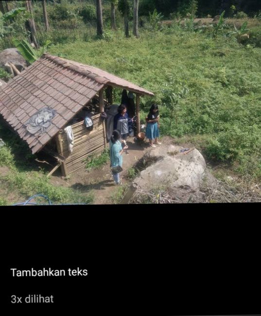 Kebun kami cuma dilihat 3X. Dokpri
