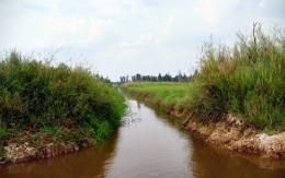 Kanal dan sungai buatan Orang Bakumpai (Marahalim Siagian))