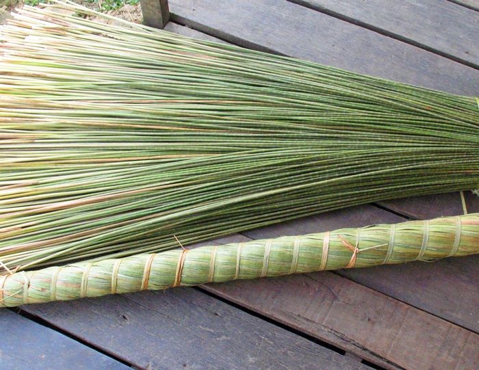 'Purun' jenis rumput bahan baku tikar yang diusahakan skala besar oleh Orang Bakumpai di Barito Kuala (Marahalim Siagian))