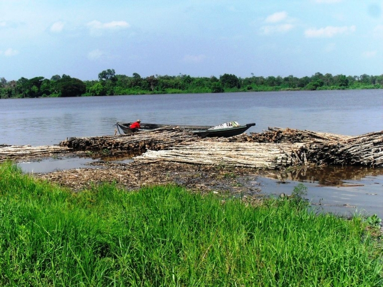 Logpond kayu galam di tepi Sungai Barito (Marahalim Siagian))