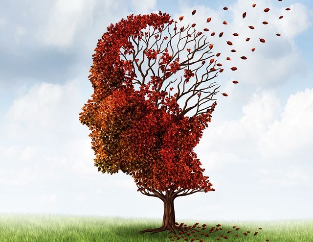 Ada banyak detil peristiwa yang dibuang otak saat menghadirkan memori (doc. Psychology Benefits Society/ed.Wahyuni)