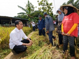 Presiden Joko Widodo. Sumber: Indopolitika.Com