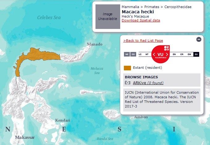 Peta sebaran Dige/ Macaca hecky ( Sumber: situs IUCN Redlist, diakses tanggal 20 Februari 2018)