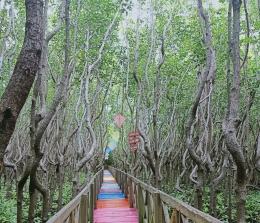 taman mangrove tongke-tongke sinjai