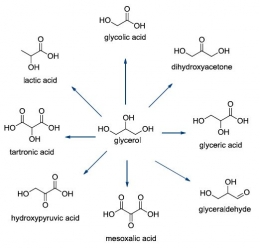 Gliserol dapat diubah menjadi berbagai senyawa kimia lain. 