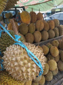Gambar buah durian (Dok. Pribadi/Lim Suandi)