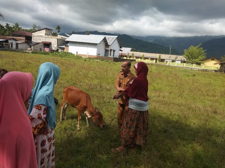 Dokpri : Camat Kuala Batee Bapak Khairuman sedang menyerahkan sapi pada salah seorang penerima ternak sapi di Desa Lhok Gajah