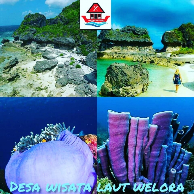 Dok. Maluku Satu Hati (MSH)