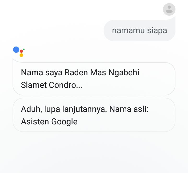 hasil percakapan dengan Google Assistant (dokpri)