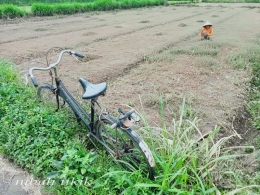 Sepeda jengki seorang buruh tani Desa Banjar Rejo, Malang. Dokpri
