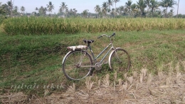 Sepeda jengki seorang petani di Desa Cemoro Kandang Malang. Dokpri