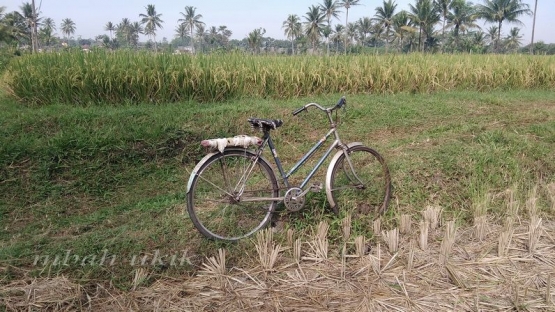 Sepeda jengki seorang petani di Desa Cemoro Kandang Malang. Dokpri