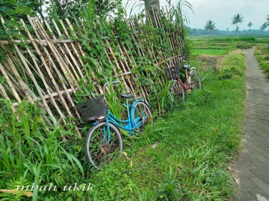 Sepeda buruh tani wanita pemetik sayur di Banjar Sari, Malang. Dokpri