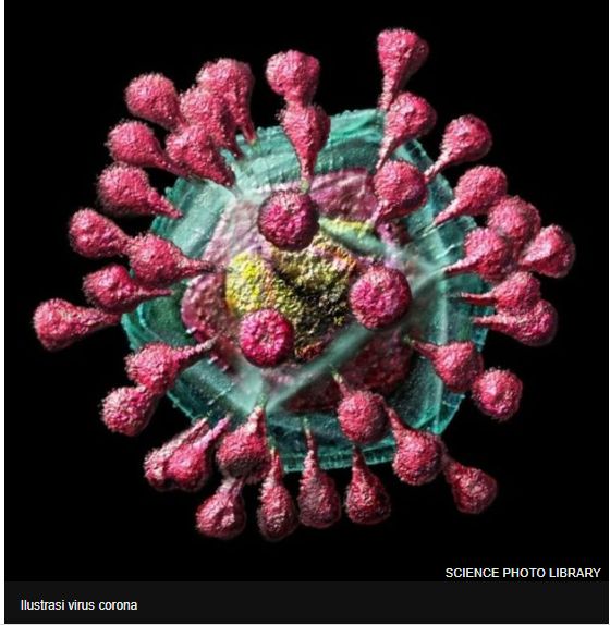 Virus Corona (bbc.com, 24/1/2020)